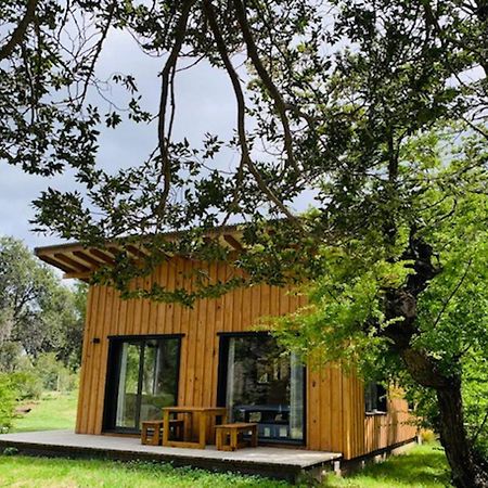 Kingfisher De Los Andes Villa Meliquina Εξωτερικό φωτογραφία