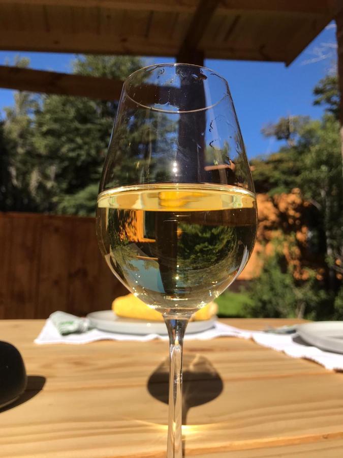 Kingfisher De Los Andes Villa Meliquina Εξωτερικό φωτογραφία