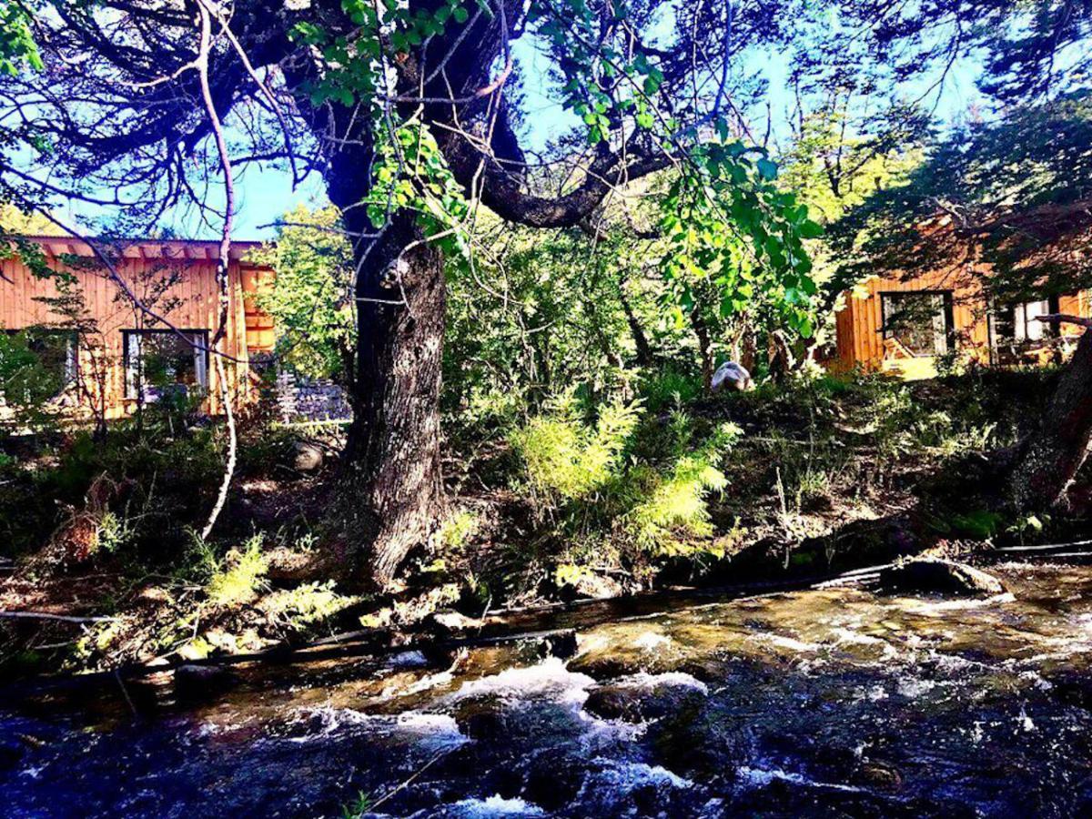 Kingfisher De Los Andes Villa Meliquina Εξωτερικό φωτογραφία