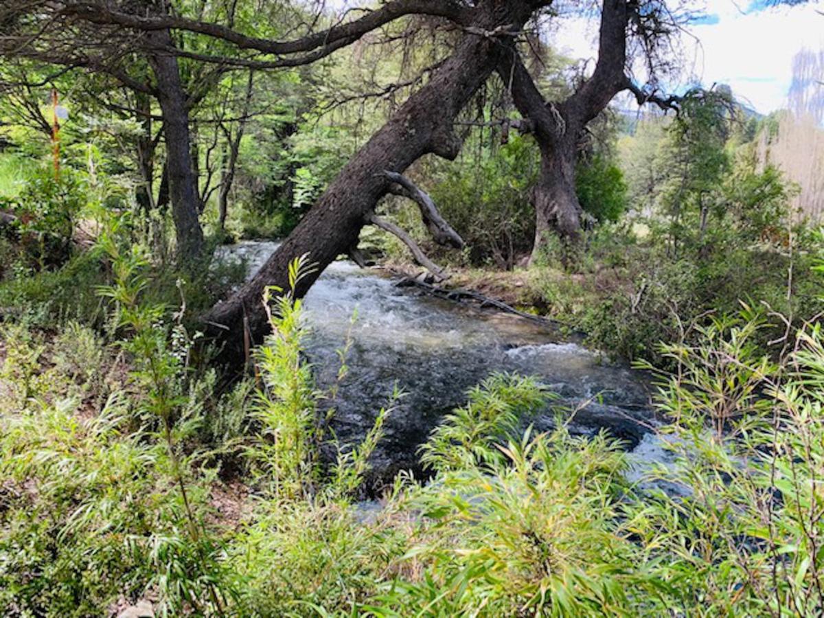 Kingfisher De Los Andes Villa Meliquina Εξωτερικό φωτογραφία