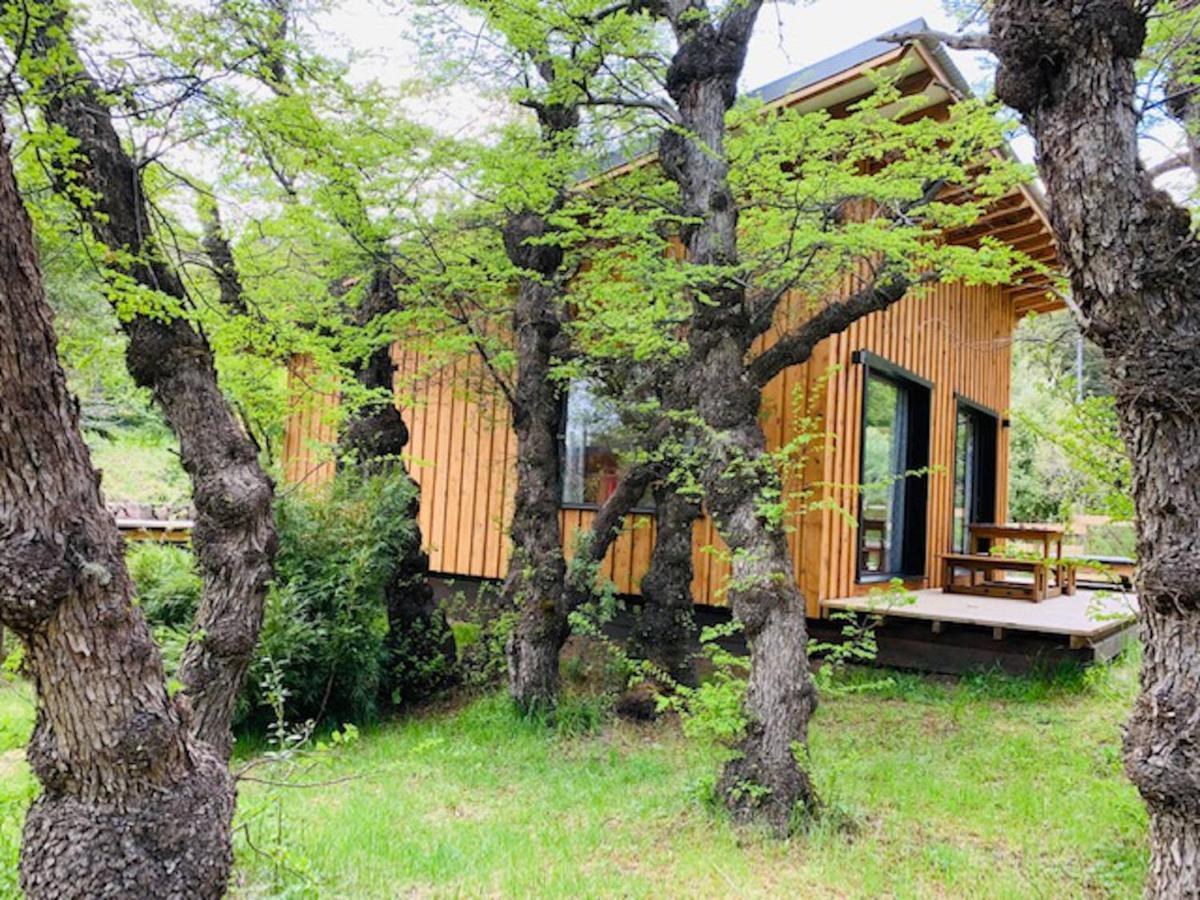 Kingfisher De Los Andes Villa Meliquina Εξωτερικό φωτογραφία