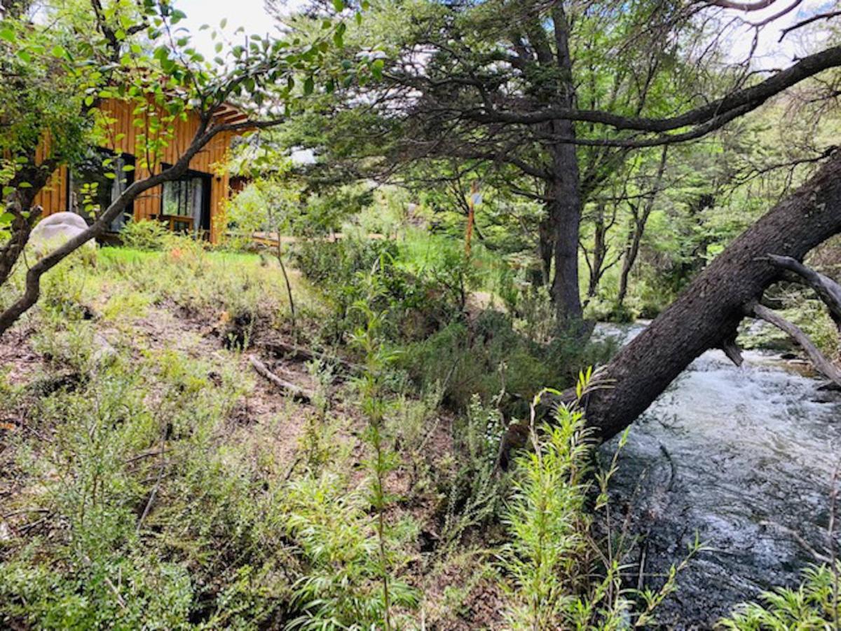 Kingfisher De Los Andes Villa Meliquina Εξωτερικό φωτογραφία