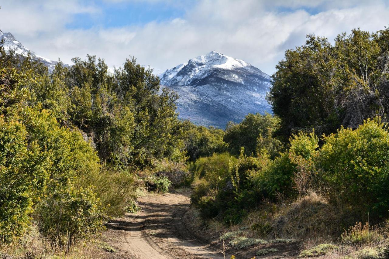 Kingfisher De Los Andes Villa Meliquina Εξωτερικό φωτογραφία